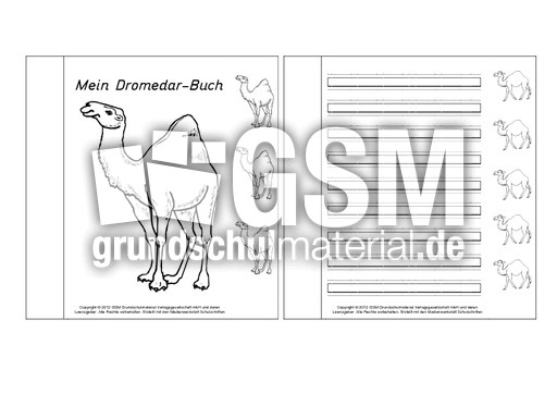 Mini-Buch-für-Lapbook-Dromedar-1-3.pdf
